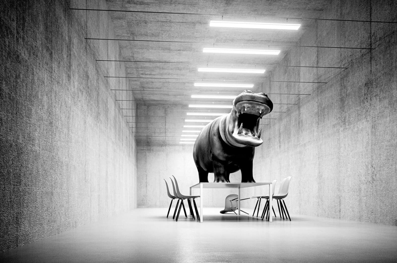 Hippo on a table