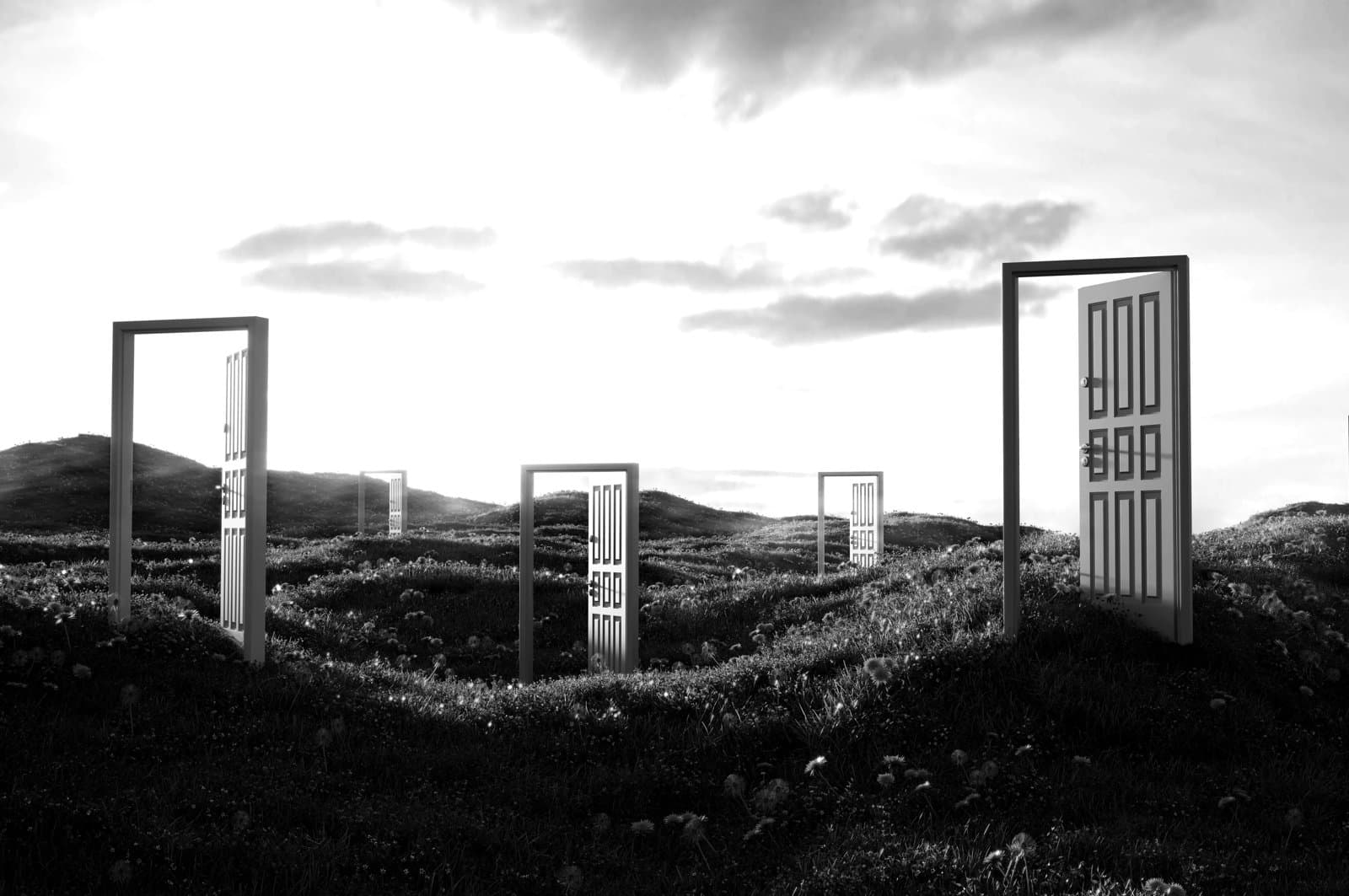 Several open doors standing alone across a grassy landscape.